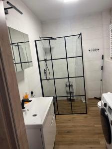 een badkamer met een douche en een witte wastafel bij Luxoro Park Apartament Nero in Ustka