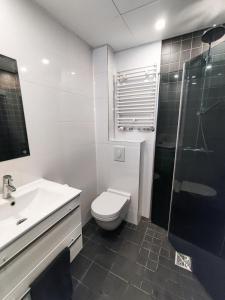 a bathroom with a toilet and a sink and a shower at Suur-Sepa apartment near city centre and beach in Pärnu