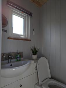 a bathroom with a toilet and a sink and a window at Red darren luxury hut in Llanveynoe
