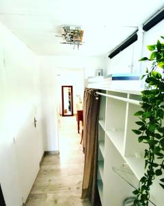 Cette chambre dispose d'un couloir avec une table et une plante. dans l'établissement MAGNOLIA HOME 32, à Auch