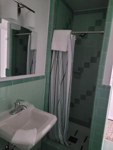 a bathroom with a sink and a shower at Rocket Motel in Custer