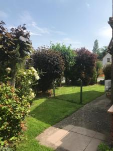 a fence in a yard with grass and trees at Roselea in Glasbury