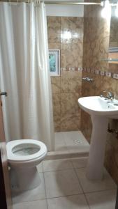 W łazience znajduje się toaleta, umywalka i prysznic. w obiekcie Posada Copahue w mieście Bariloche