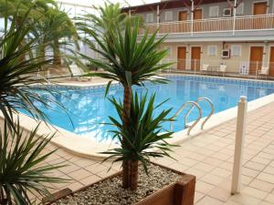 Bazén v ubytování Hotel Algorfa nebo v jeho okolí