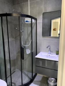 een badkamer met een douche en een wastafel bij Casa di Caribe in Willemstad