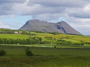a mountain in the middle of a green field at Adorable cosy and private new cabin in the south in Hvolsvöllur