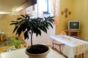 Fotografie z fotogalerie ubytování Apartment Milna 5242a v destinaci Milna