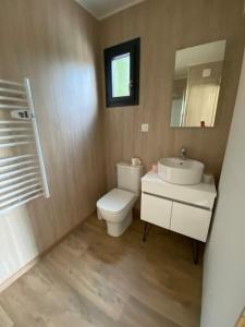 ein Badezimmer mit einem WC, einem Waschbecken und einem Spiegel in der Unterkunft Duplex atypique en bois entre ville et verdures in La Chapelle-Saint-Mesmin