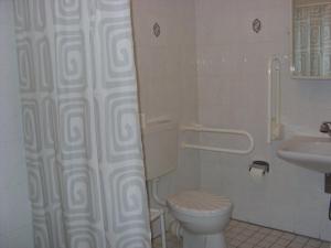 a bathroom with a toilet and a sink and a shower at Gasthof Bergquelle in Wandlitz