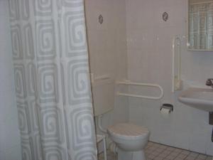 ein Bad mit einem WC, einem Waschbecken und einer Dusche in der Unterkunft Gasthof Bergquelle in Wandlitz