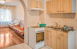 a kitchen with a sink and a stove top oven at Cozy Apartment In Dominikowo With Wifi in Dominikowo