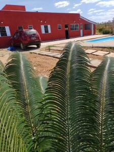 a group of palm trees in front of a building at POUSADA ALVE VERDe in Capitólio