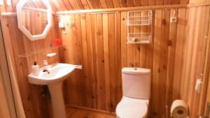 Saare Guest Apartment في Saare: حمام صغير مع مرحاض ومغسلة