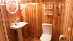 a small bathroom with a toilet and a sink at Saare Guest Apartment in Saare