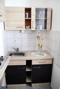 a kitchen with a sink and a vase of flowers on a counter at Apartments with a parking space Jadranovo, Crikvenica - 5285 in Jadranovo