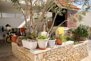 Vonkajšia záhrada v ubytovaní Apartments by the sea Drasnice, Makarska - 5265