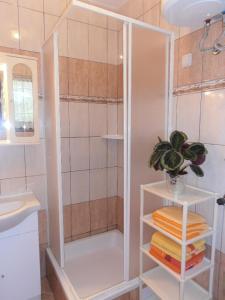 a bathroom with a shower and a sink at Apartments with a parking space Sveti Anton, Krk - 5288 in Sveti Anton