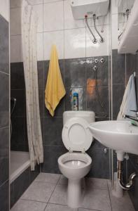 a bathroom with a toilet and a sink at Apartments and rooms with parking space Sveti Vid, Krk - 5323 in Sveti Vid-Miholjice
