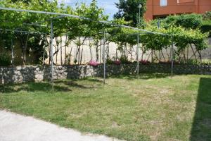 Fotografie z fotogalerie ubytování Apartments with a parking space Baska, Krk - 5411 v destinaci Baška