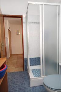 a bathroom with a shower with a toilet in it at Apartments with a parking space Pinezici, Krk - 5319 in Pinezici
