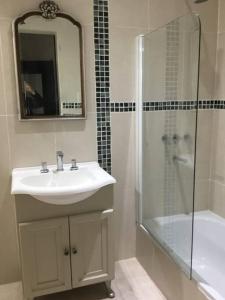 a bathroom with a sink and a shower and a mirror at La rue de Rox ,apart in Corrientes
