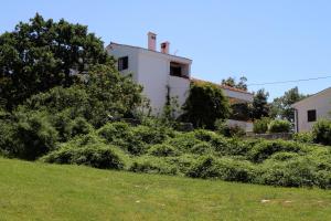 Zahrada ubytování Apartment Punat 5428a