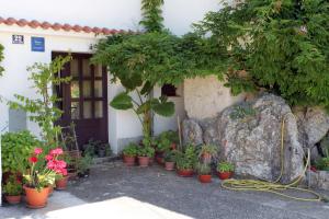 Vonkajšia záhrada v ubytovaní Apartments with parking spaces Punat, Krk - 5428