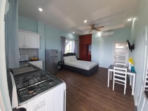 Serenity Seaview Suite的厨房或小厨房