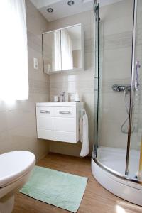 a bathroom with a shower and a sink and a toilet at Apartments with a parking space Vrbnik, Krk - 5392 in Vrbnik