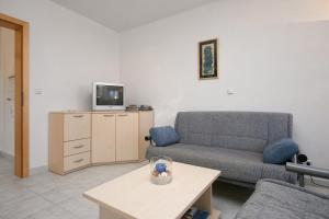 TV a/nebo společenská místnost v ubytování Apartment Pinezici 5464d