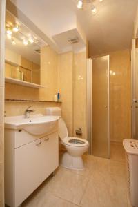 a bathroom with a toilet and a sink and a shower at Apartment Pinezici 5464b in Pinezici