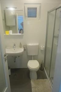 a bathroom with a toilet and a sink and a shower at Apartments with a parking space Selce, Crikvenica - 5531 in Selce