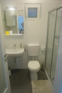 a bathroom with a toilet and a sink and a shower at Apartments with parking space Selce, Crikvenica - 5531 in Selce