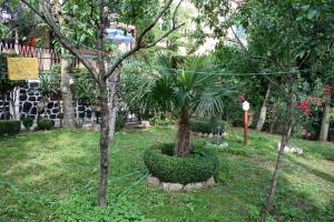 Vonkajšia záhrada v ubytovaní Apartment Selce 5531b