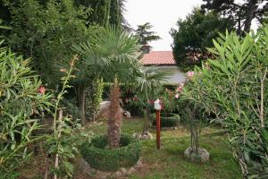 Vonkajšia záhrada v ubytovaní Apartment Selce 5531b