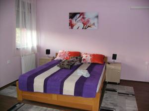 um quarto com uma cama e duas mesas de cabeceira em B&B Zmajevo Gnezdo 021 em Sremska Kamenica