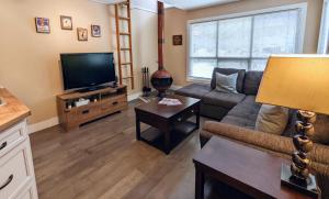 TV a/nebo společenská místnost v ubytování Cozy 1BR Walk to Gondola, Sleep 4, Free Parking