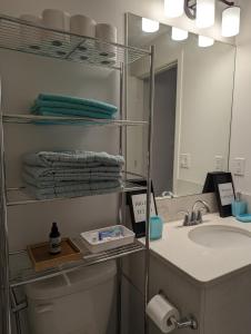 y baño con lavabo y espejo. en Livingston Howse Haven - A simple & cozy private two-bedroom basement suite with free parking en Calgary