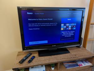 TV a/nebo společenská místnost v ubytování Cozy 1BR Walk to Gondola, Sleep 4, Free Parking