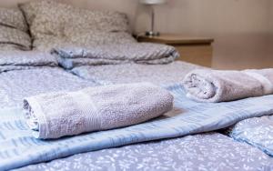 Posteľ alebo postele v izbe v ubytovaní Aurora Apartments