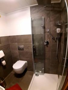 a bathroom with a toilet and a glass shower at Ferienwohnungen Haus Rachel in Neuschönau
