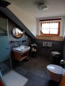 een badkamer met een wastafel, een toilet en een spiegel bij Ferienwohnungen Haus Rachel in Neuschönau