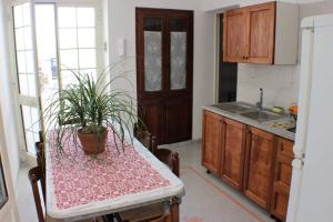 a kitchen with a table with a potted plant on it at Casa Fadea in Gagliano del Capo