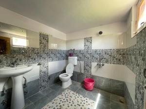 łazienka z toaletą i umywalką w obiekcie Gaywoo Guest House w mieście Leh