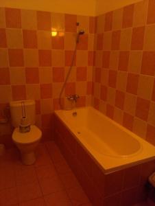 a bathroom with a toilet and a bath tub at Penzion Pod Vyhlídkou in Pecka +38 photos