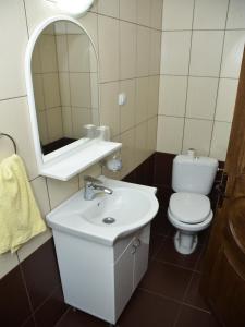 a bathroom with a sink and a toilet and a mirror at Studio Zlatnik in Arandelovac