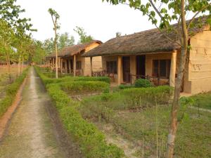 a house with a dirt road in front of it at Bardia Eco Lodge in Bardiyā