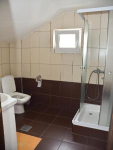 a bathroom with a toilet and a shower at Studio Zlatnik in Arandelovac