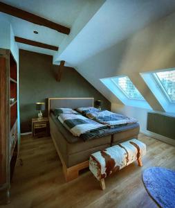 1 dormitorio con 1 cama y 2 tragaluces en Studio Hundertwasser, en Erfurt