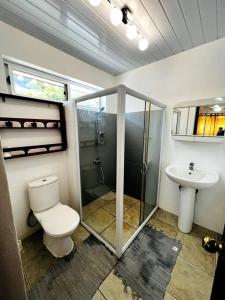 波拉波拉的住宿－KAHAI LODGE Maison tout confort et spacieuse à Bora Bora，带淋浴、卫生间和盥洗盆的浴室